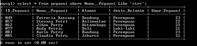 C:\Users\Aras\Documents\Tugas semester 1\Basis data\Tugas besar\7 Like, Order by, Grup By, Asc, Des\Like\Pegawai\Like 31.PNG