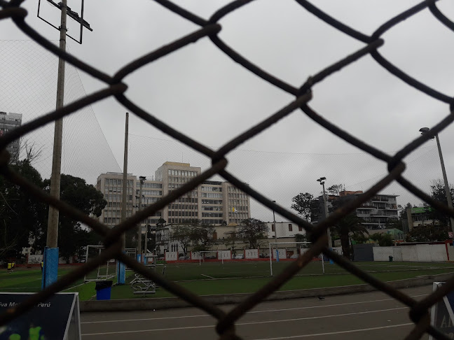 Opiniones de ESCUELA DE FUTBOL ZELA en Lima - Campo de fútbol