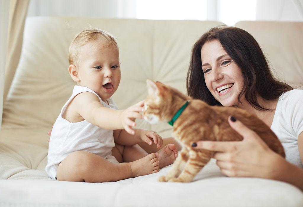 Introducing Pets to Babies - Pros, Cons & Important Safety Tips