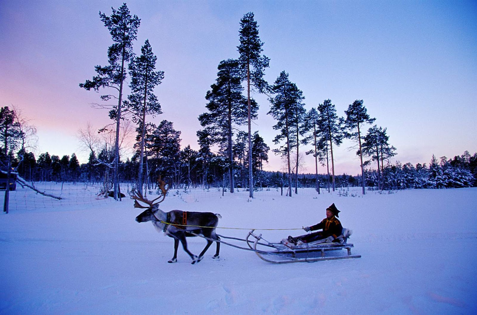 laplandfinlandchristmas.jpg