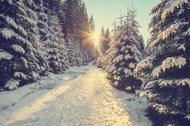 Image result for winter