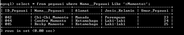 C:\Users\Aras\Documents\Tugas semester 1\Basis data\Tugas besar\7 Like, Order by, Grup By, Asc, Des\Like\Pegawai\Like 1.PNG