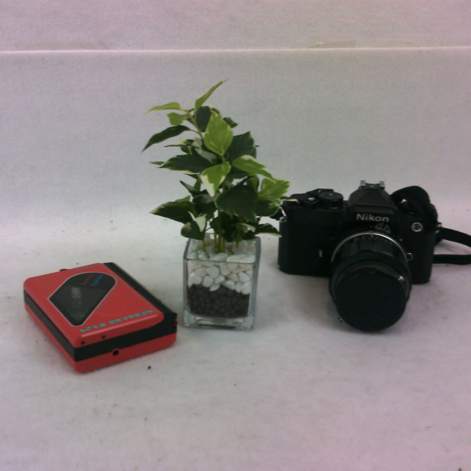 デジタル二眼レフカメラ Rolleiflex MiniDigi AF5.0」を使ってみた