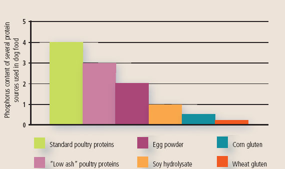 Phosphorus content of several protein sources used in dog food