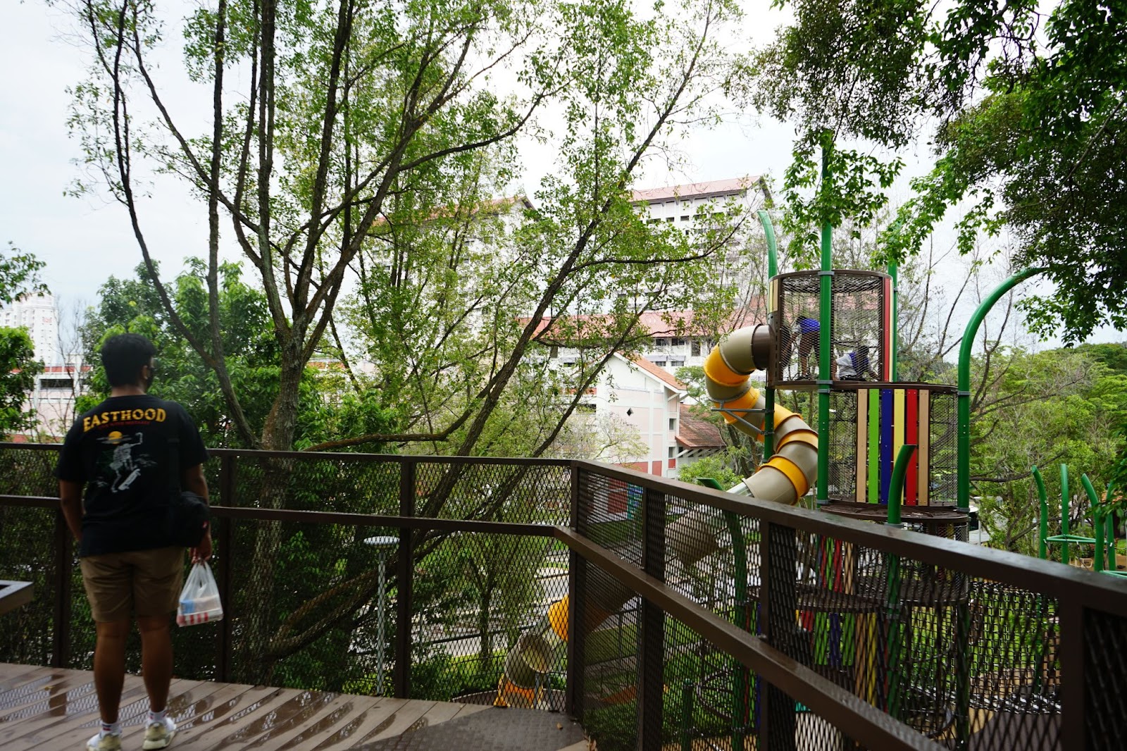 Treetop Walk