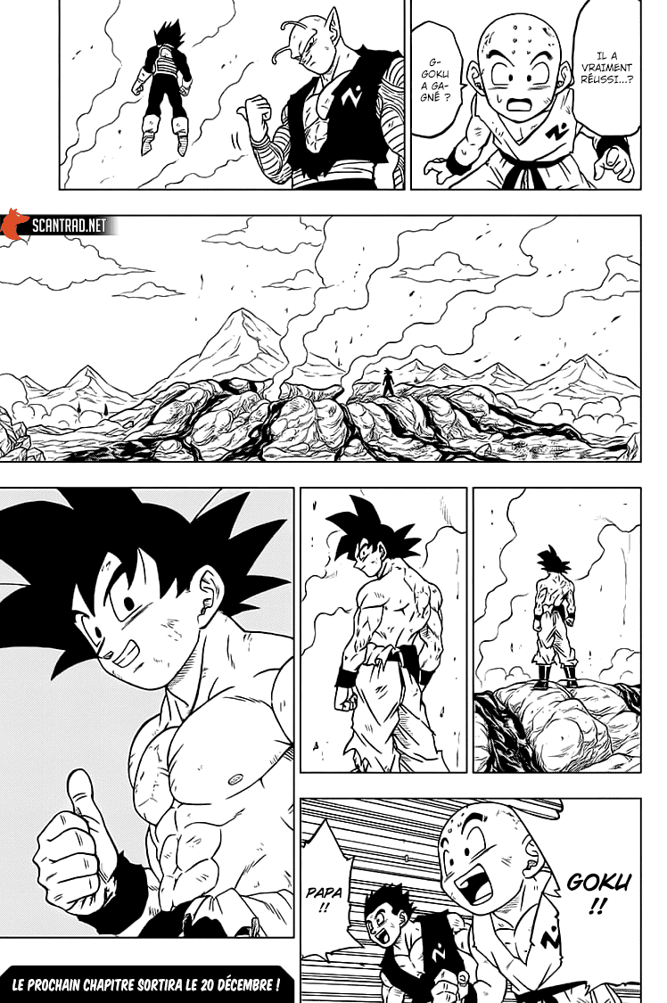 Dragon Ball Super Chapitre 66 - Page 43