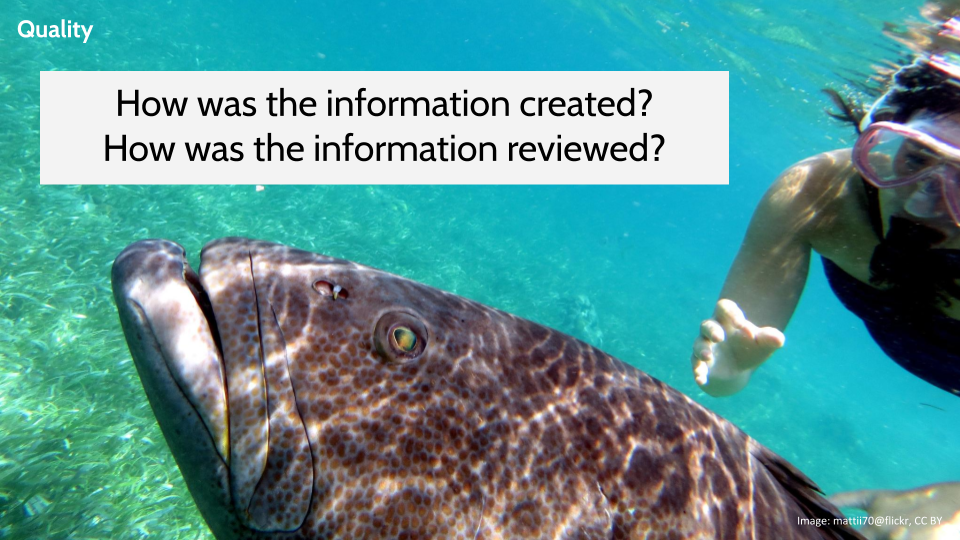 Image of a snorkeler with a big fish in the foreground with the questions: How was the information created? How was the information reviewed? 