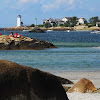 Half Moon Beach Gloucester Ma
