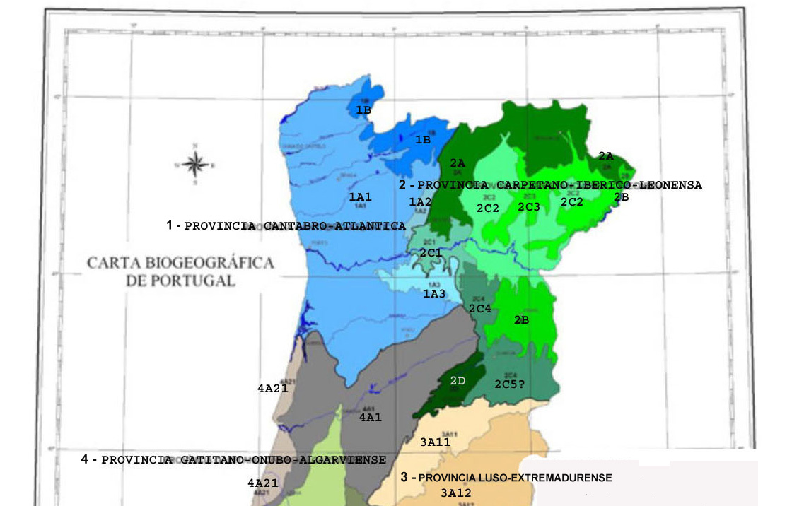 CARTA BIOGEOGRAFICA - PROVINZEN copy.jpg