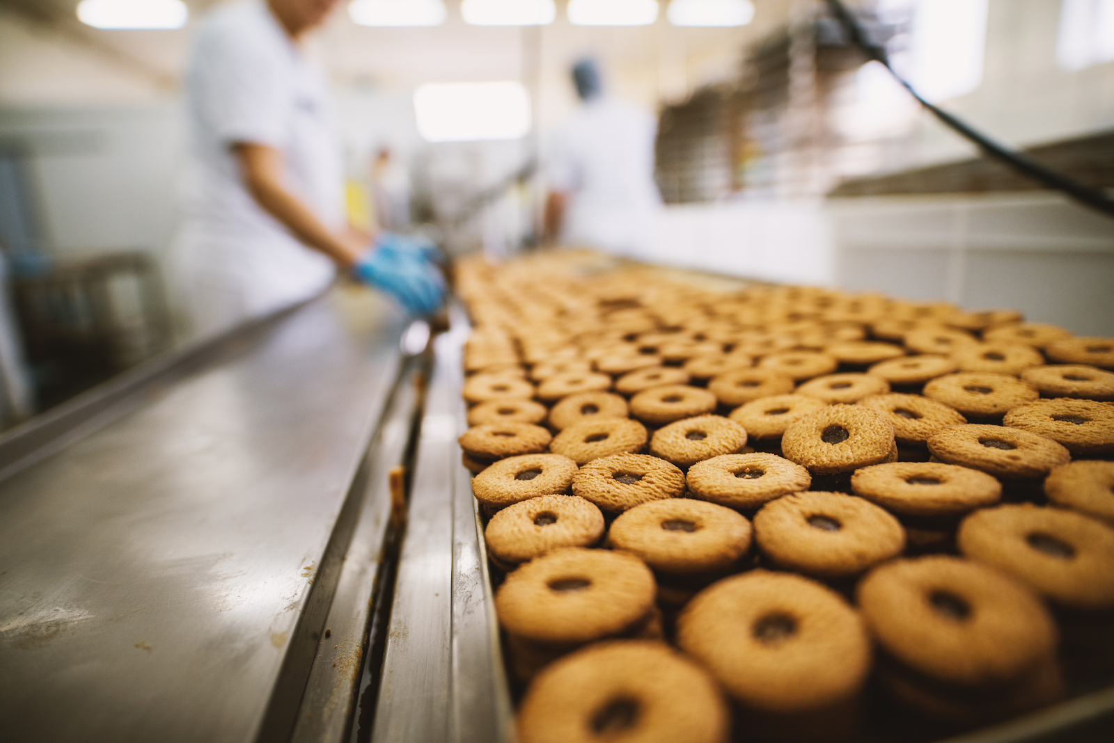 cookies on convey line production line