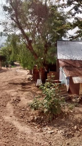 Procuraduría Agraría