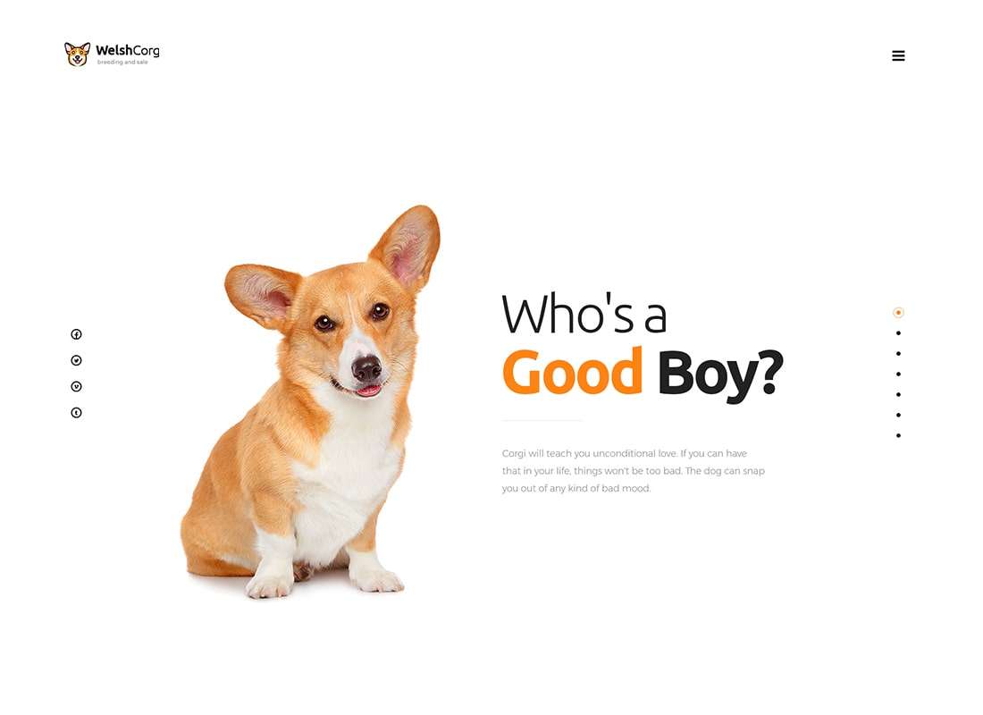 Corgi galés |  Tema de WordPress para la cría y venta de perros
