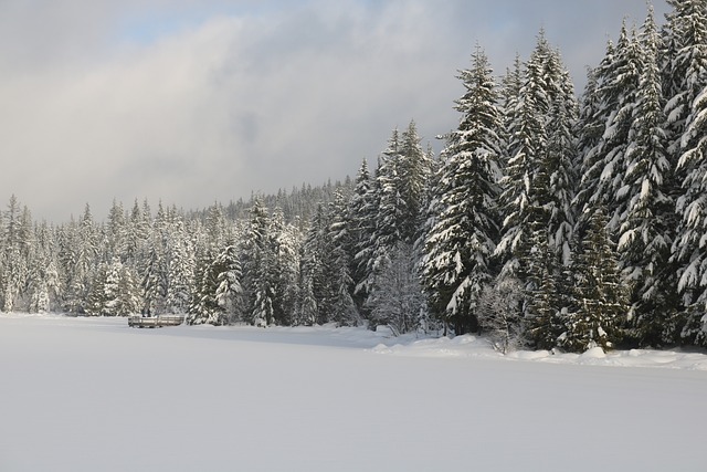 Mount Hood National Forest, Oregon is another top location with the best winter campsites