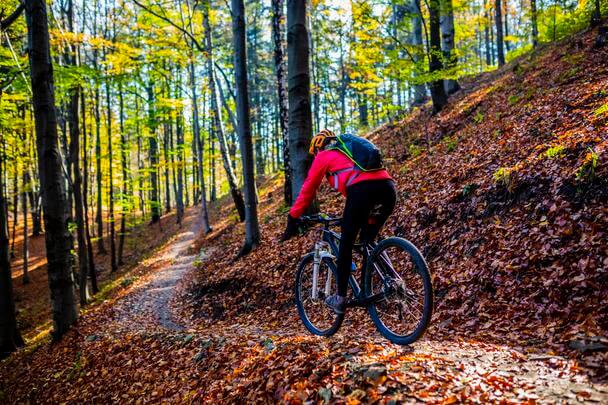 Colonie de vacances VTT au départ de Nantes