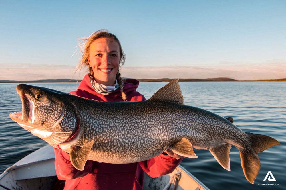 Ultimate Guide to the 8 Best Lakes for Trout Fishing in Canada, Barry  Jay's and Rainbow Marine