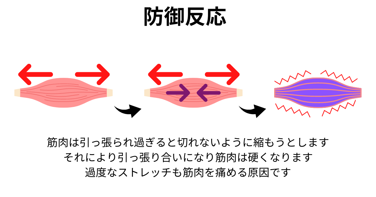 筋肉の防御反応を表す図