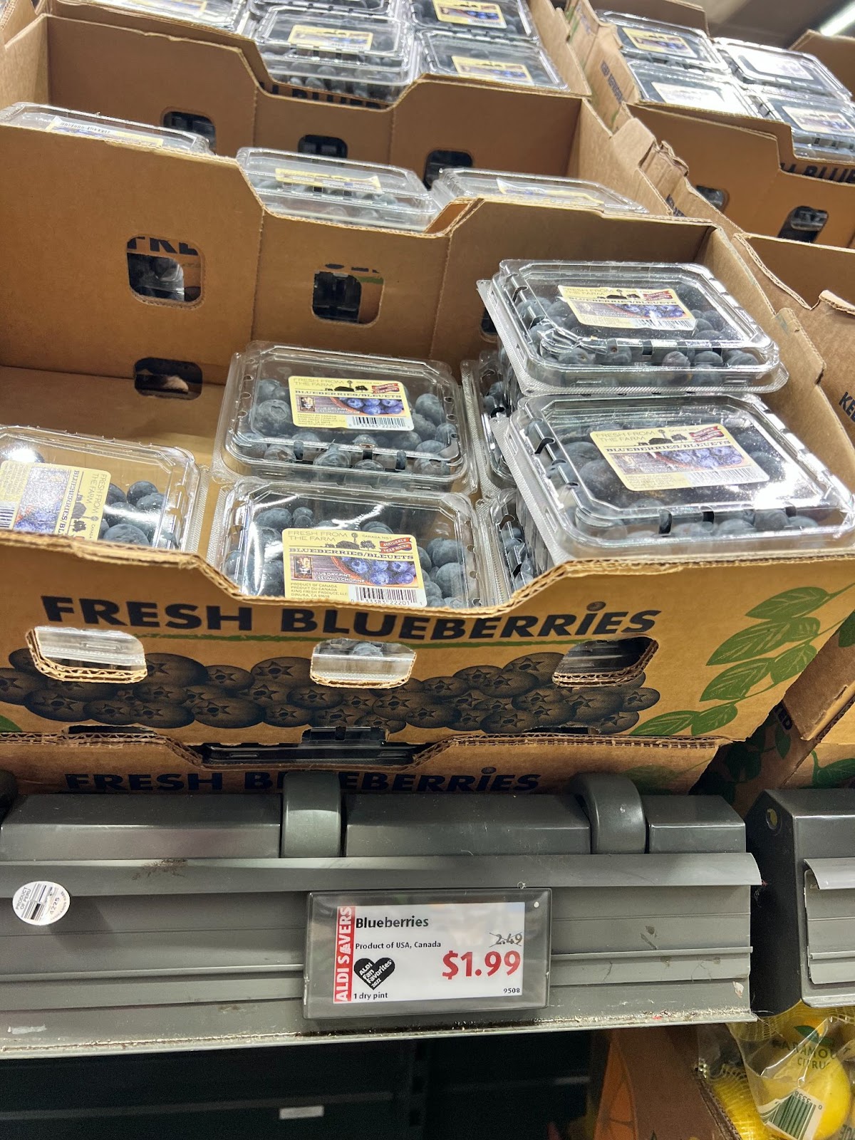 blueberries in a box on a shelf at Aldi