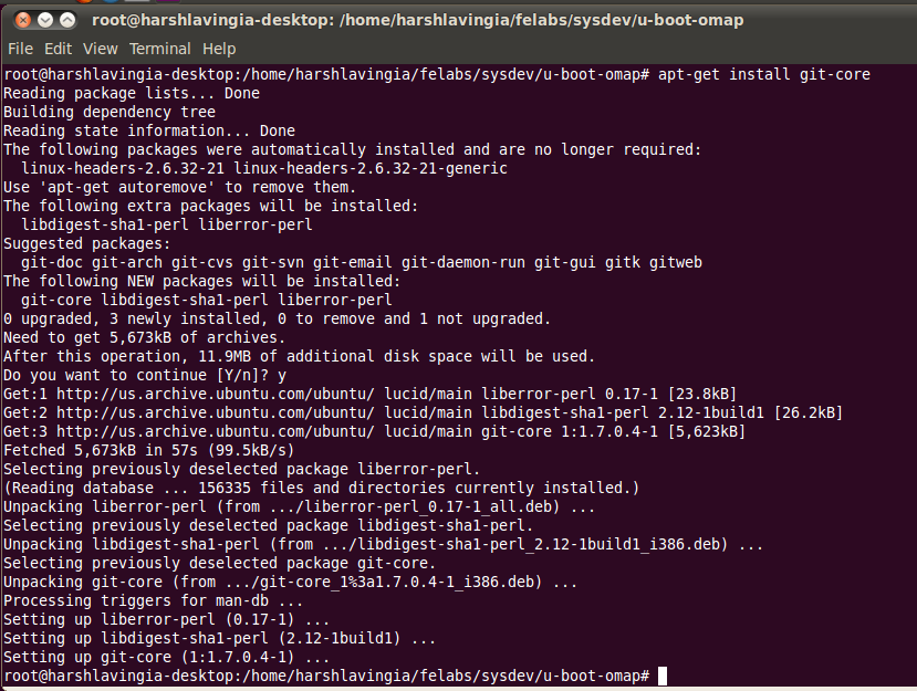Macromedia flash installer