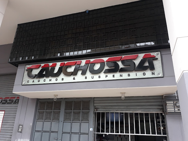 CAUCHOSSA S.A. - Tienda