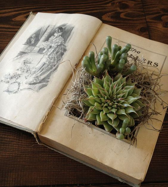grow garden inside book