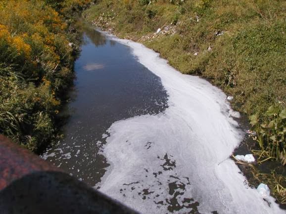 Cuáles son los efectos contaminantes de los detergentes sobre el ambiente  acuático? | Ecología
