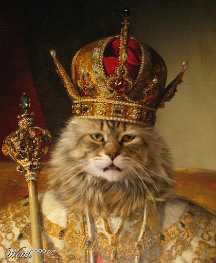 La versión de Athena ~ SU MAJESTAD: ¡EL GATO!