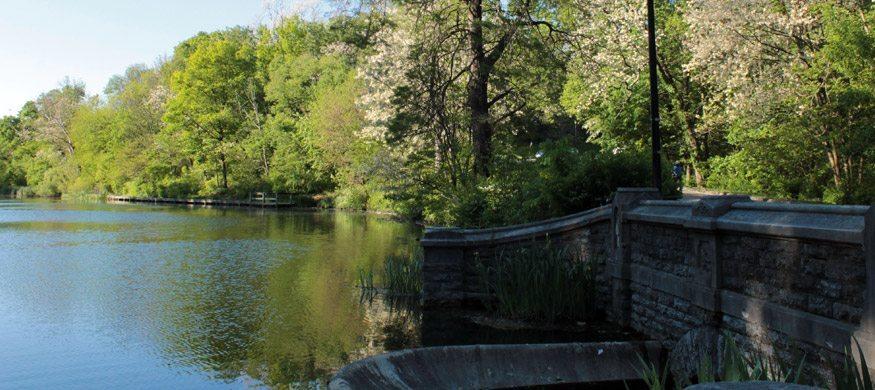 A body of water with trees around it Description automatically generated with medium confidence