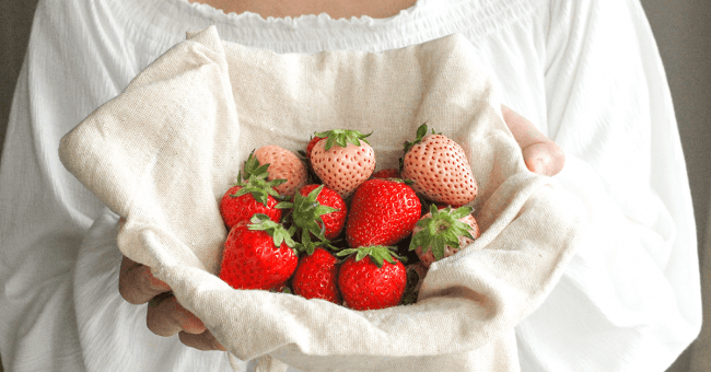 luxury-strawberry-production-brand03