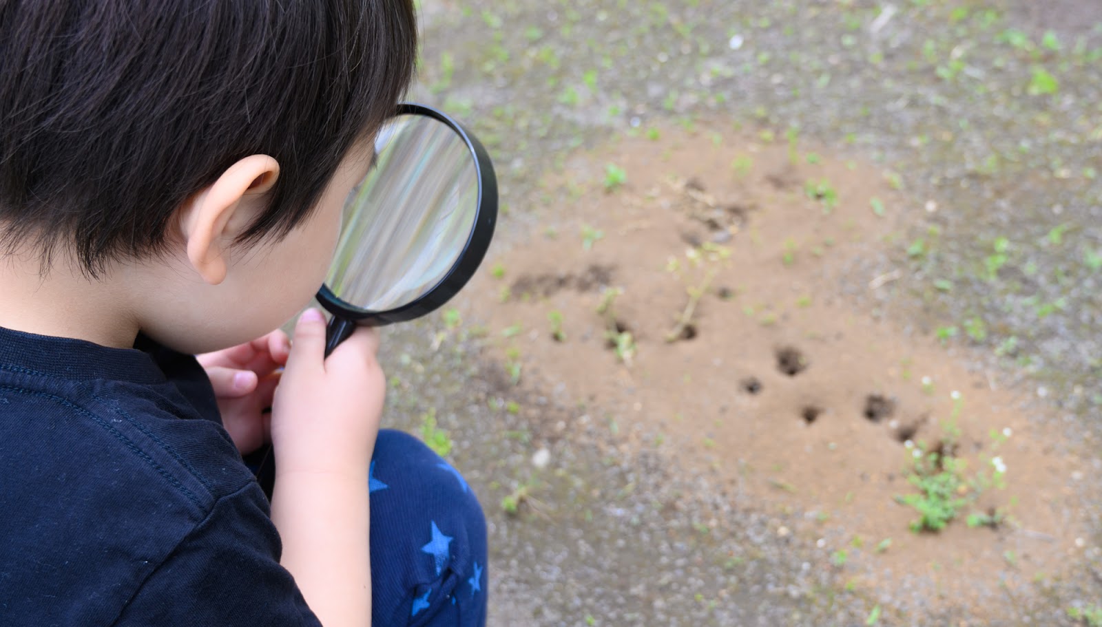 優しい心が育つ「生き物かんさつ」