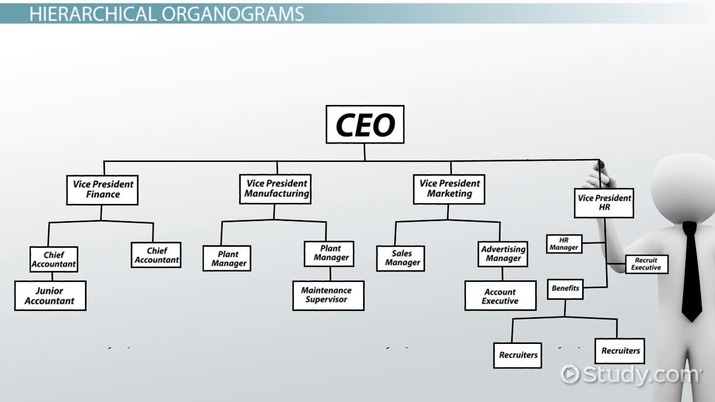 structure of finance department