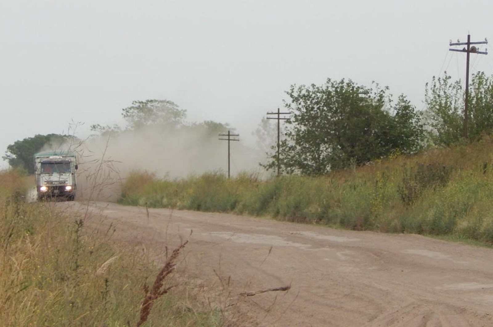 Caminos rurales. 