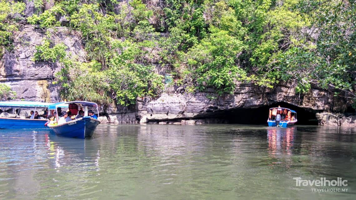 Mangrove Tour