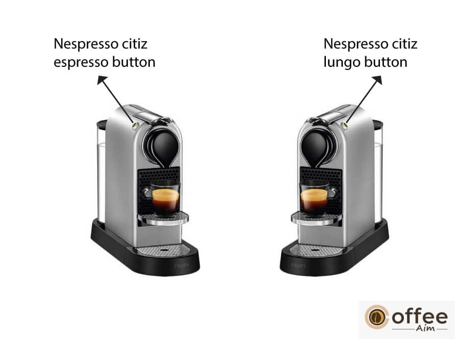 Bekræfte Bestemt forbandelse How to Use Nespresso Citiz? A Step By Step Guide