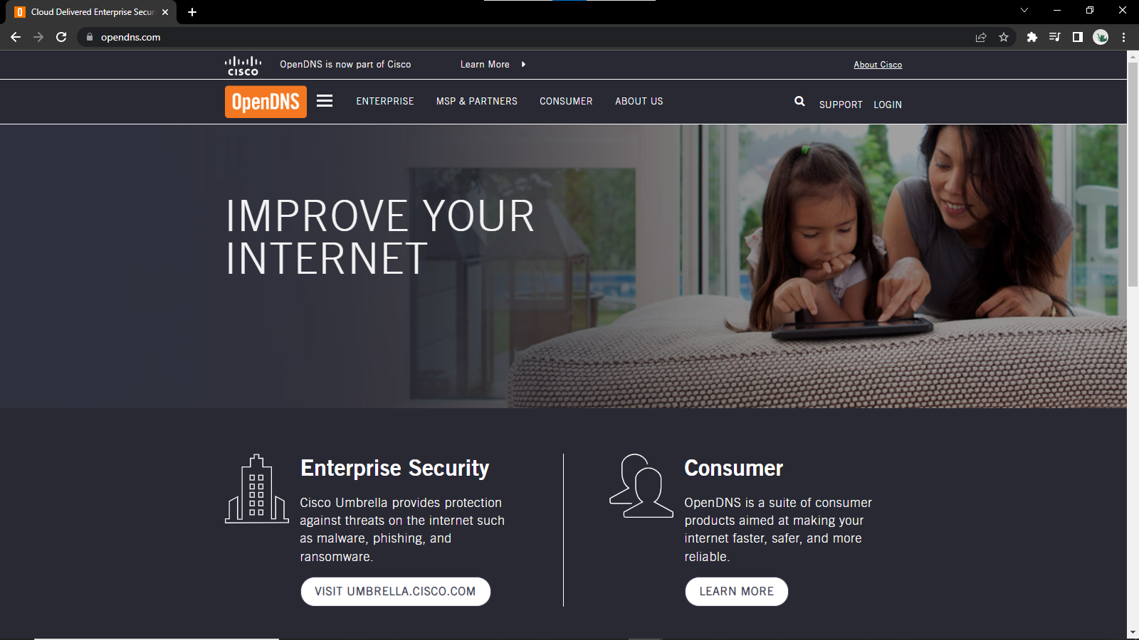 Open DNS website screen