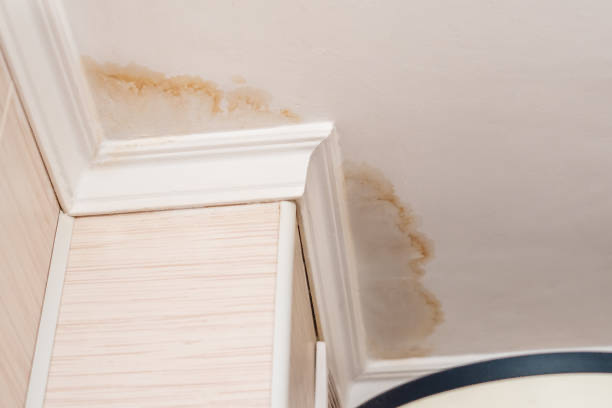 How to Plaster a Ceiling, Pristine Painters