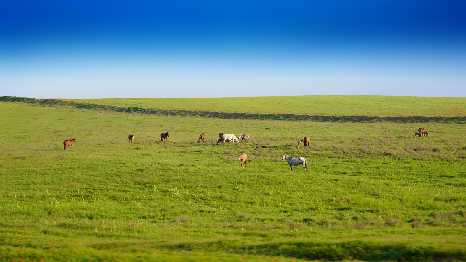 Photo Land Kazakhstan