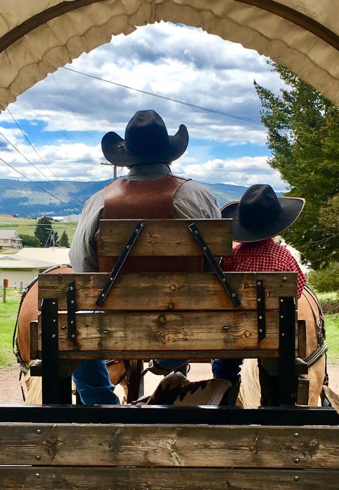 a man and boy sitting in a carriage