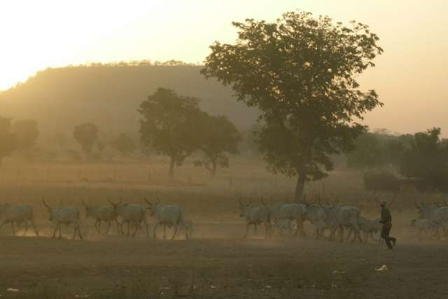 Ở Nigeria, những người chăn nuôi Fulani là mối đe dọa kinh hoàng Hồi giáo mới cho người Ki-tô hữu