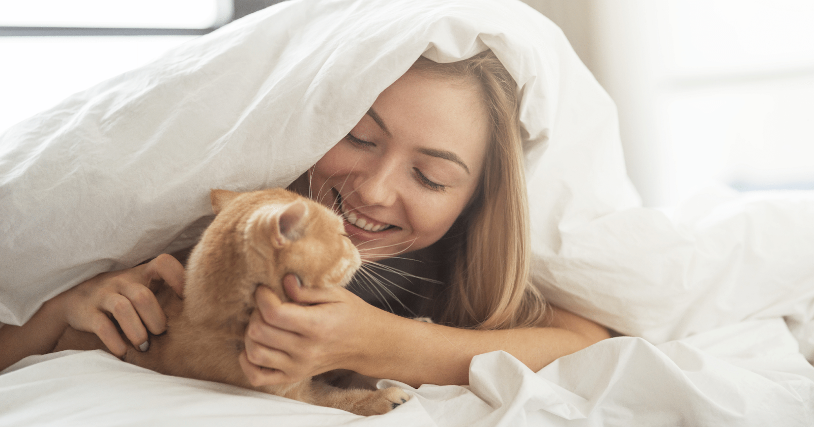 cat hiding in bed with lady owner