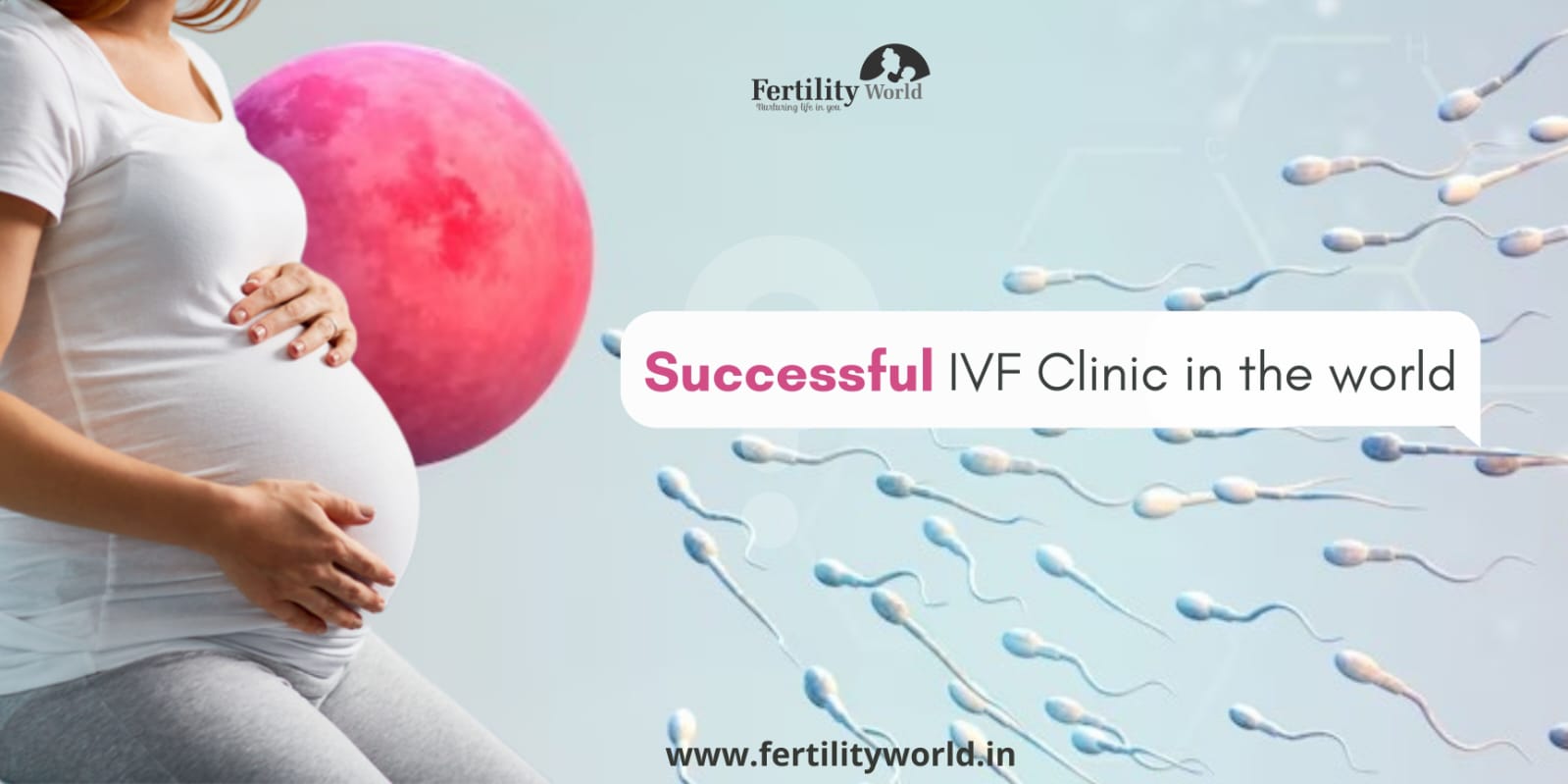 Where is the most successful IVF clinic in the world?
