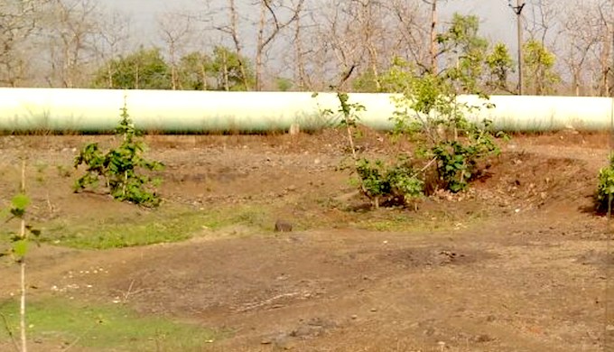 The concrete pipe carrying water to the Shipra from the Narmada. (Photo by Soumya Sarkar)
