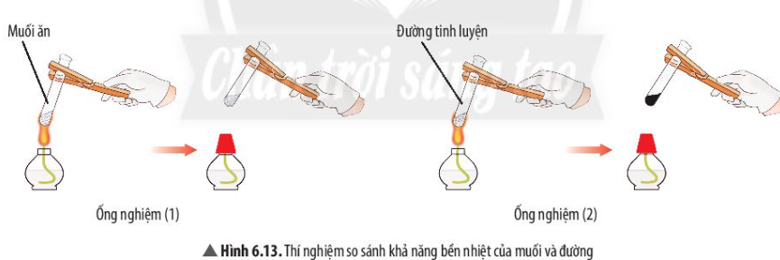 Câu hỏi trang 44 SGK TN&XH 7 CTST tập 1