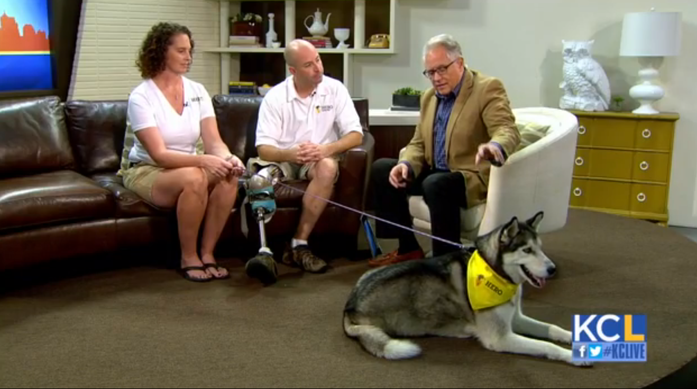 Dr. Carrie Adrian and Ben Blecha talk about bracing for dogs with CCL tear on KCLive