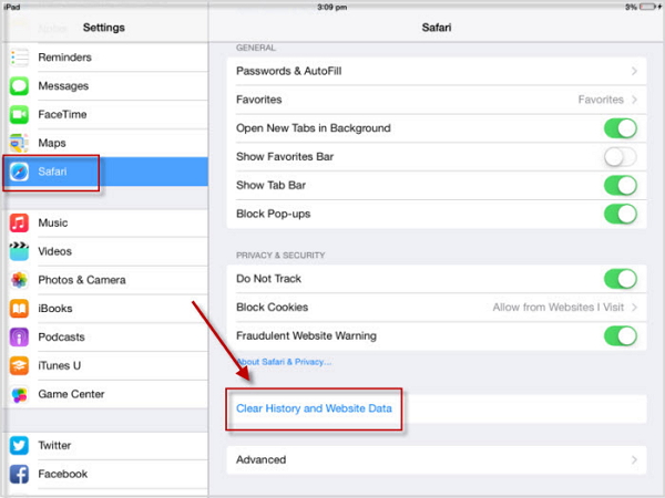 clear safari history website data ipad