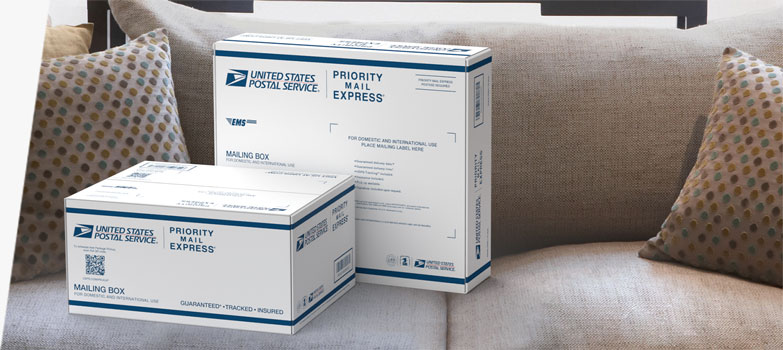 Two USPS Priority Mail Express packages on a living room couch