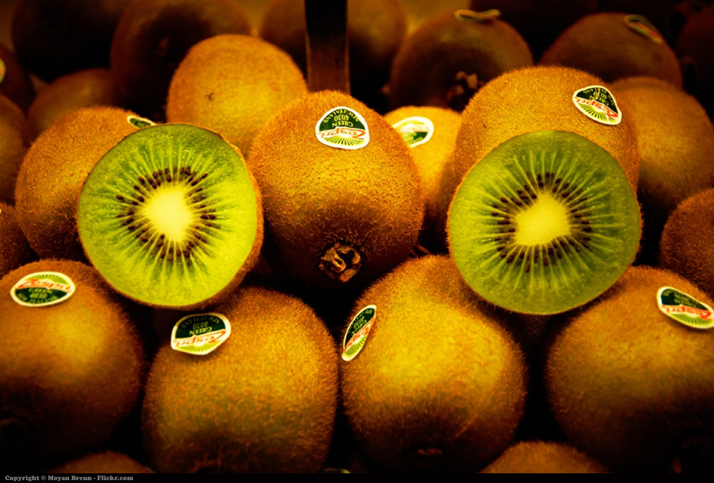 Kiwi fruit | Flickr - Photo