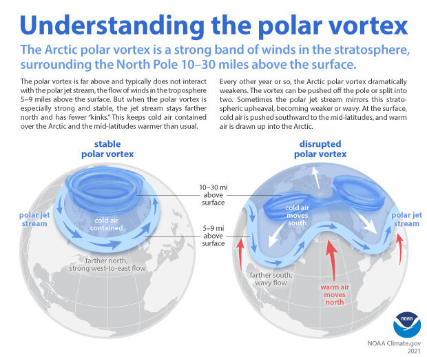 Infographic showing stratospheric polar vortex in a strong state and a disrupted state