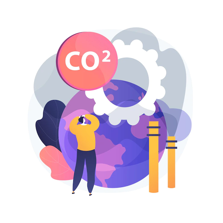 Check The Processes Of Carbonization And Carbon Offsetting Through This API  