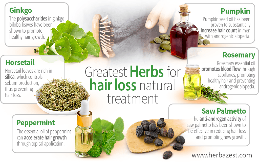 Greatest herbs for hair loss natural treatment | HerbaZest