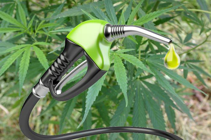 Hemp Biofuel